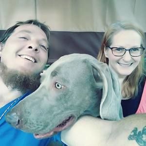 Meet your Posher, Amy